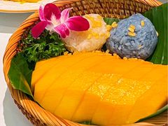 -芭蕉树·新派泰国餐厅(汉溪长隆店)