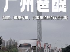 -珠江琶醍