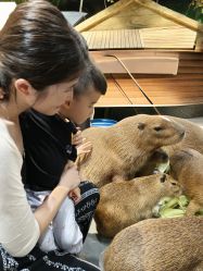 -Zoolung Zoolung动物主题公园(海信广场店)