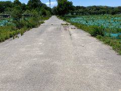 -柳浪游泳场