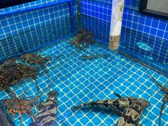-吉友粥底火锅(方斜路店)