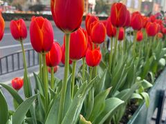 -云海肴·汽锅鸡·云南代表菜(美罗城店)