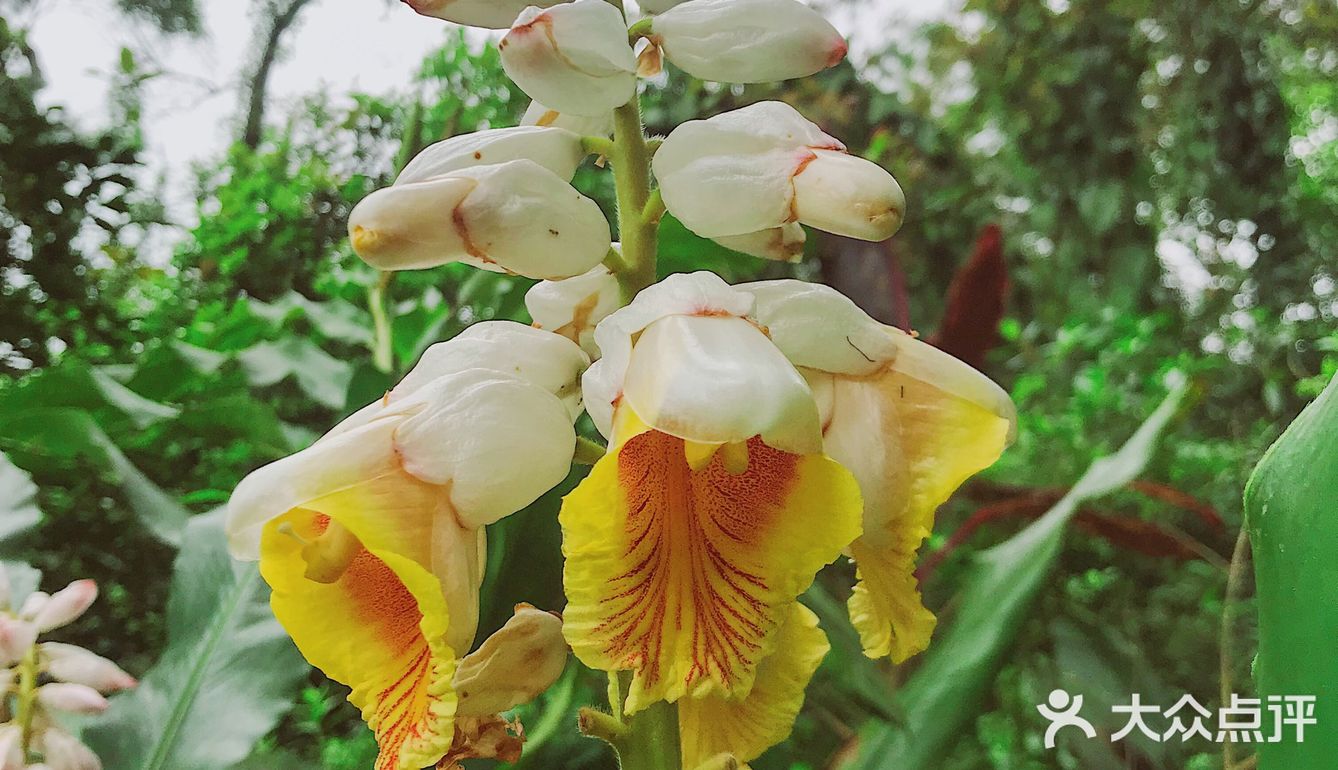 周末放假肯定要去逛公园呀