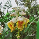 周末放假肯定要去逛公园呀