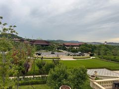 -青雅中餐厅(大连金石滩绿发希尔顿度假酒店)