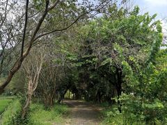 -红山村