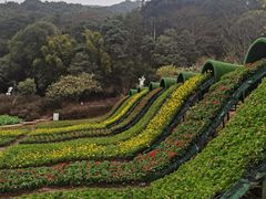 -广州市石门国家森林公园