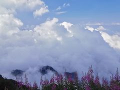 -峨眉山风景名胜区