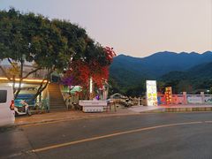 -杨梅坑