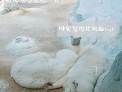 -珠海长隆海洋王国