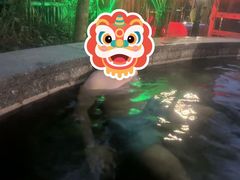 -花水湾第一村温泉大酒店