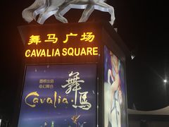 -cavalia·舞马