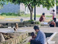 -上甘棠村