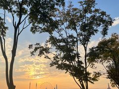 -花博汇(知音花月夜)