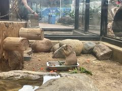 -海合安成都极地海洋公园