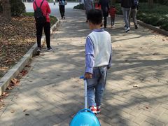 -上海海湾国家森林公园