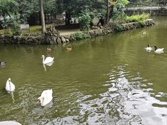 -黔灵山公园