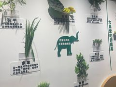 -野象谷景区