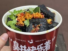 -黑色经典臭豆腐·湖南特产(坡子街店)