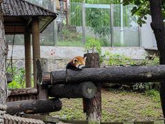 -大连森林动物园