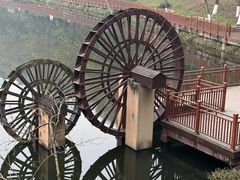 -重庆彩云湖湿地公园