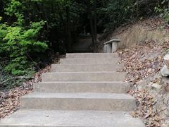 -南丹山森林王国
