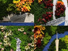 -云溪植物园