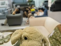 -宜家家居(高新商场店)