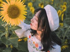 -瑶湖郊野森林公园