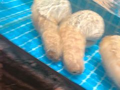 -百富源·海鲜辽菜(张士店)