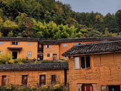 -杨家堂村