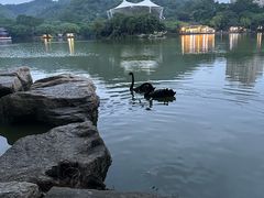 -珠海圆明新园