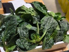 -陈记顺和潮汕牛肉火锅(番禺迎宾大道店)