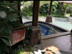 -碧桂园润杨溪谷温泉酒店