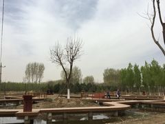 -东郊湿地公园
