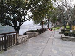 -重庆彩云湖湿地公园