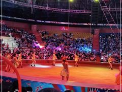 -俄罗斯国家大马戏团