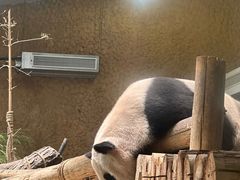 -常州淹城野生动物世界