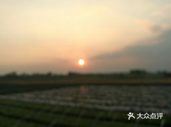 乡下，是那么的美好！ 一切都新鲜的，空气清晰