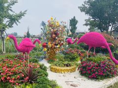 -荷兰花海
