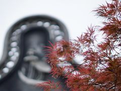 -上海醉白池公园