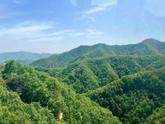 -栾川竹海野生动物园