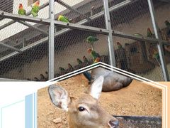 -昆明动物园