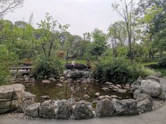 -成飞公园
