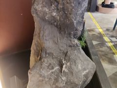 -弄堂里(西溪龙湖天街店)