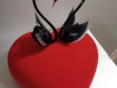 -BLACKSWAN黑天鹅(环球店)