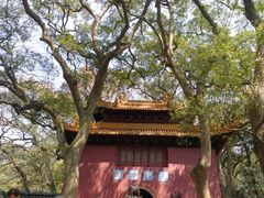 -普陀山风景名胜区-法雨禅寺