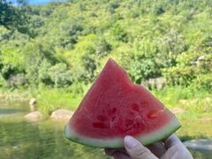 -武汉姚家山旅游景区