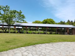 -东平国家森林公园