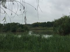 -白鹭湾湿地公园